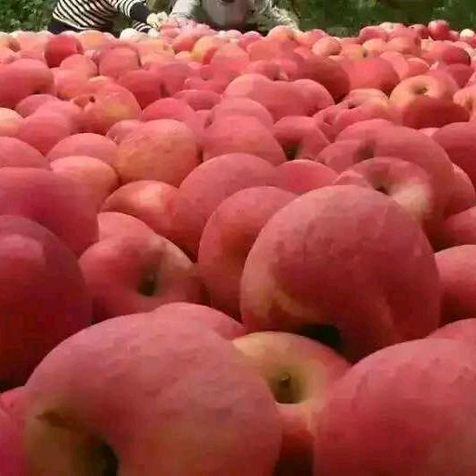 水果冰糖心🇨🇳319