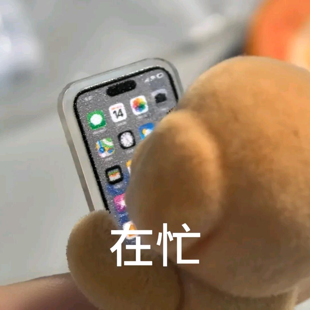 🌈笨蛋小丸
