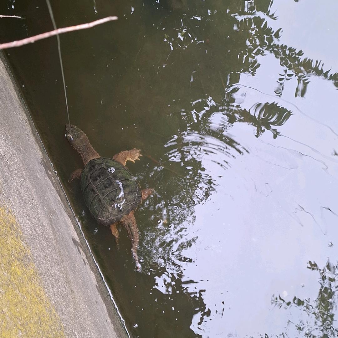 环游世界野钓玩家