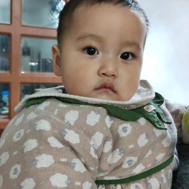 高原雄鹰
