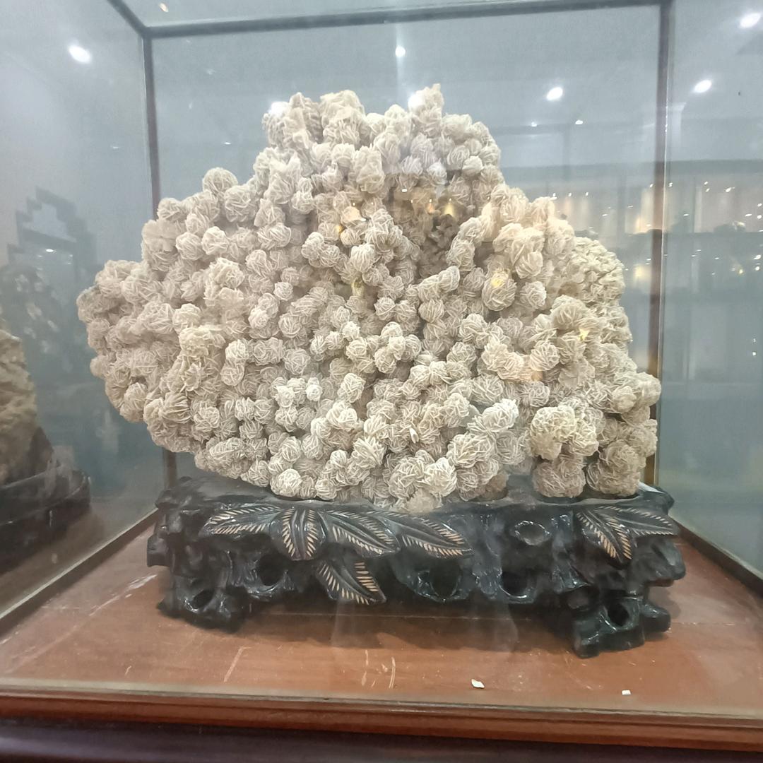 橙子