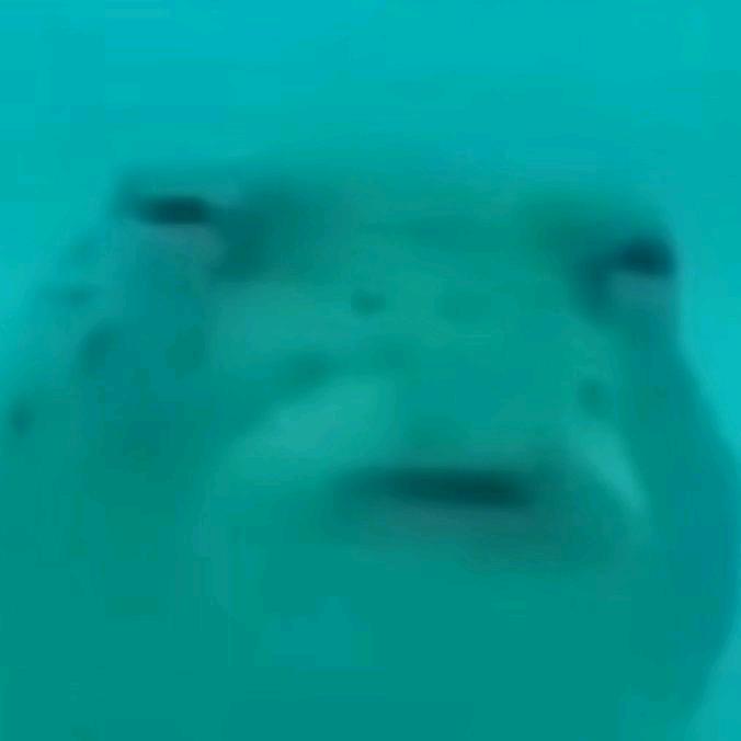 你哈哈