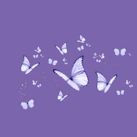 鱼