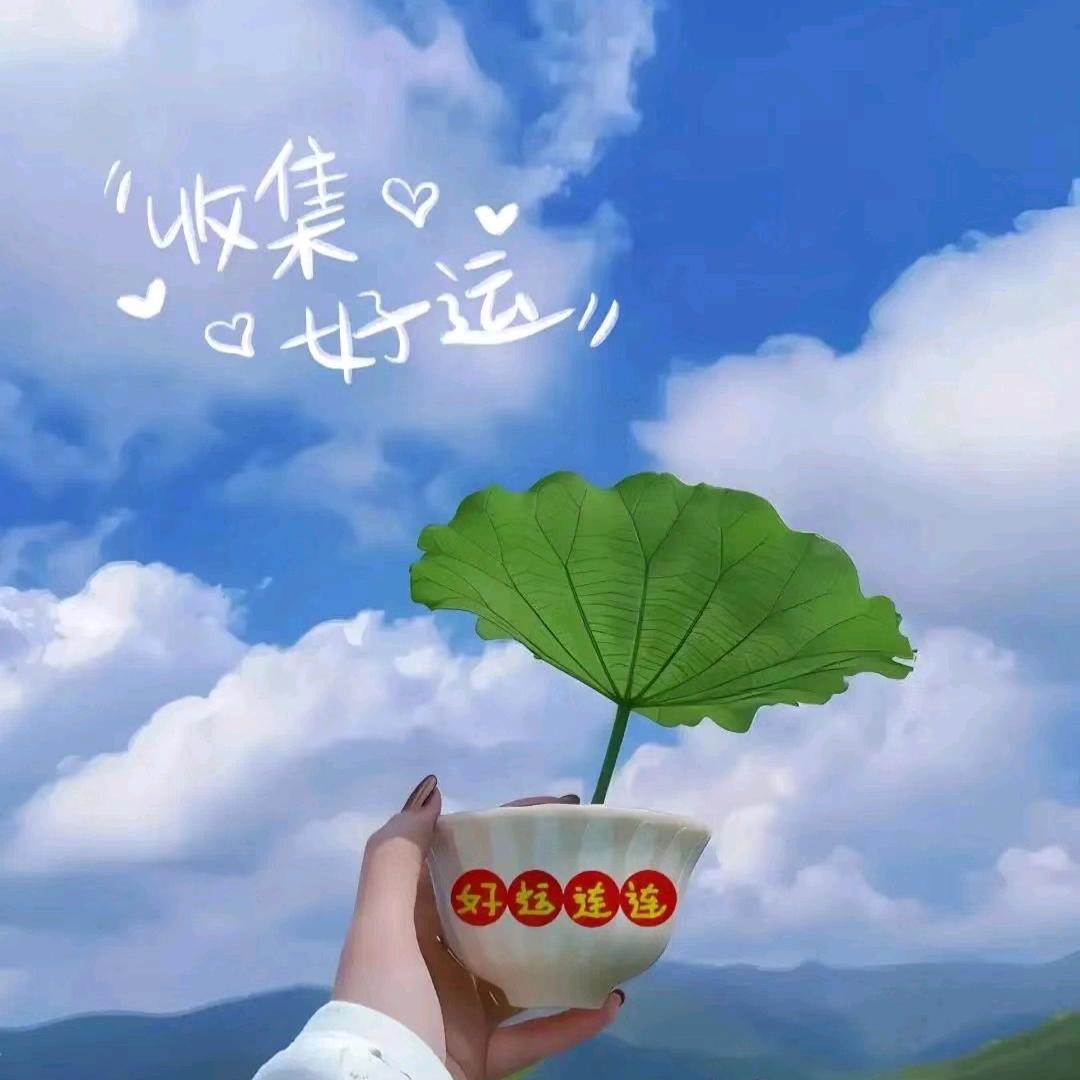 铭铭甄选17