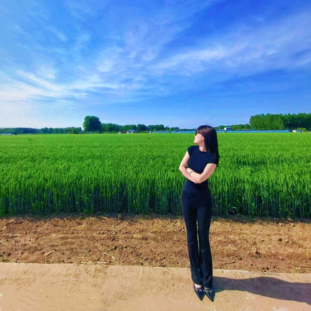 小苏不吃香菜🐰