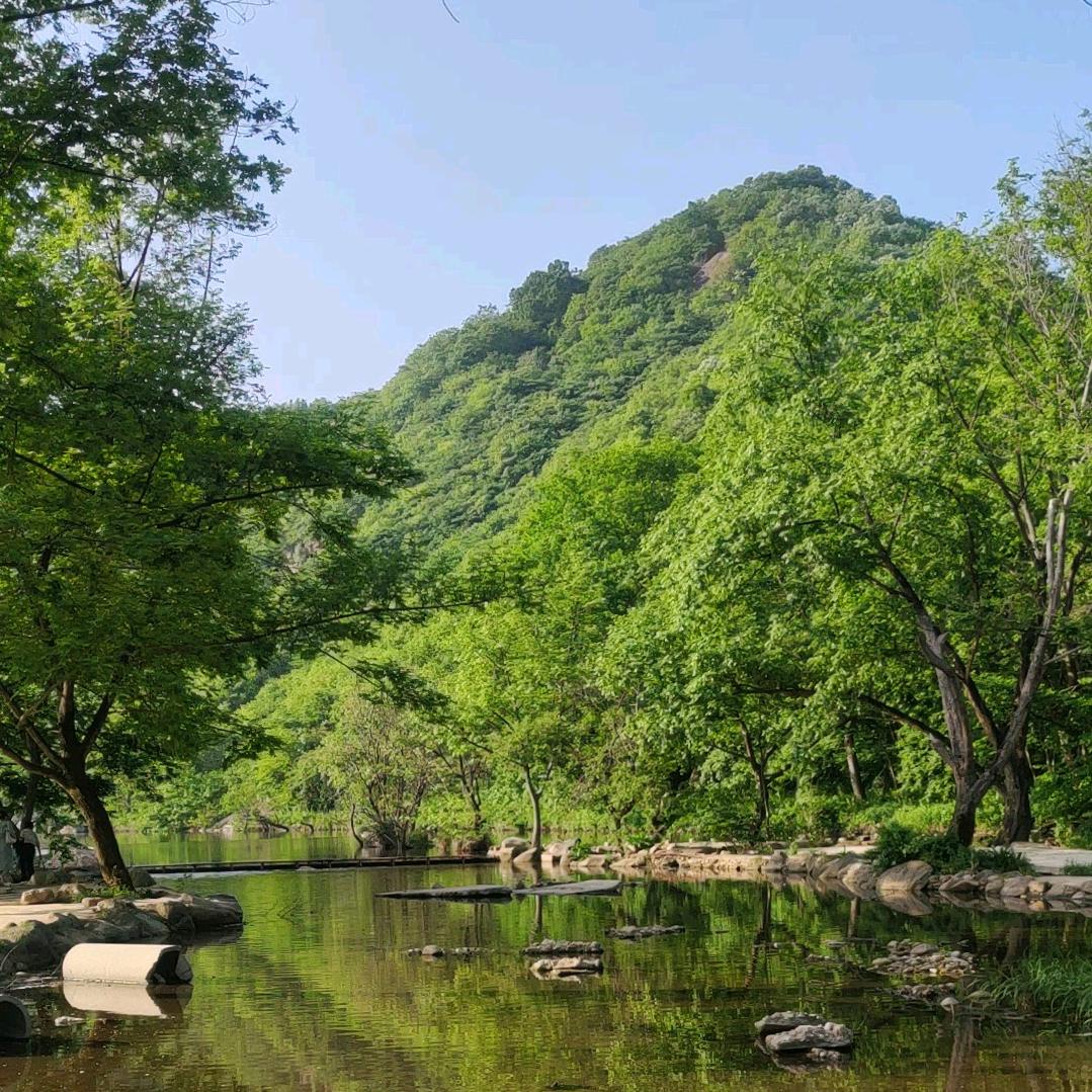 峰哥001