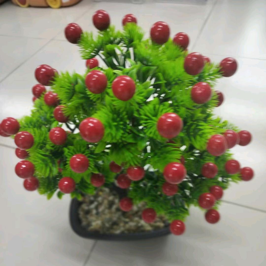 朱小四