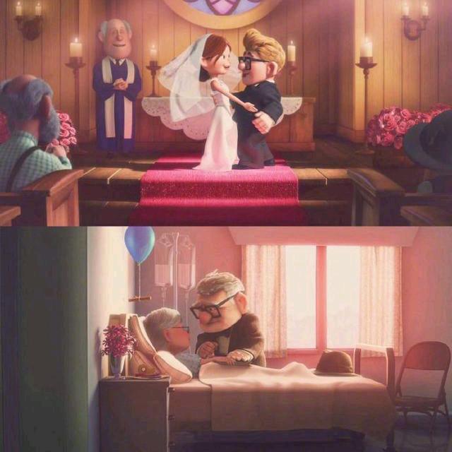 圆通快递，花胖胖