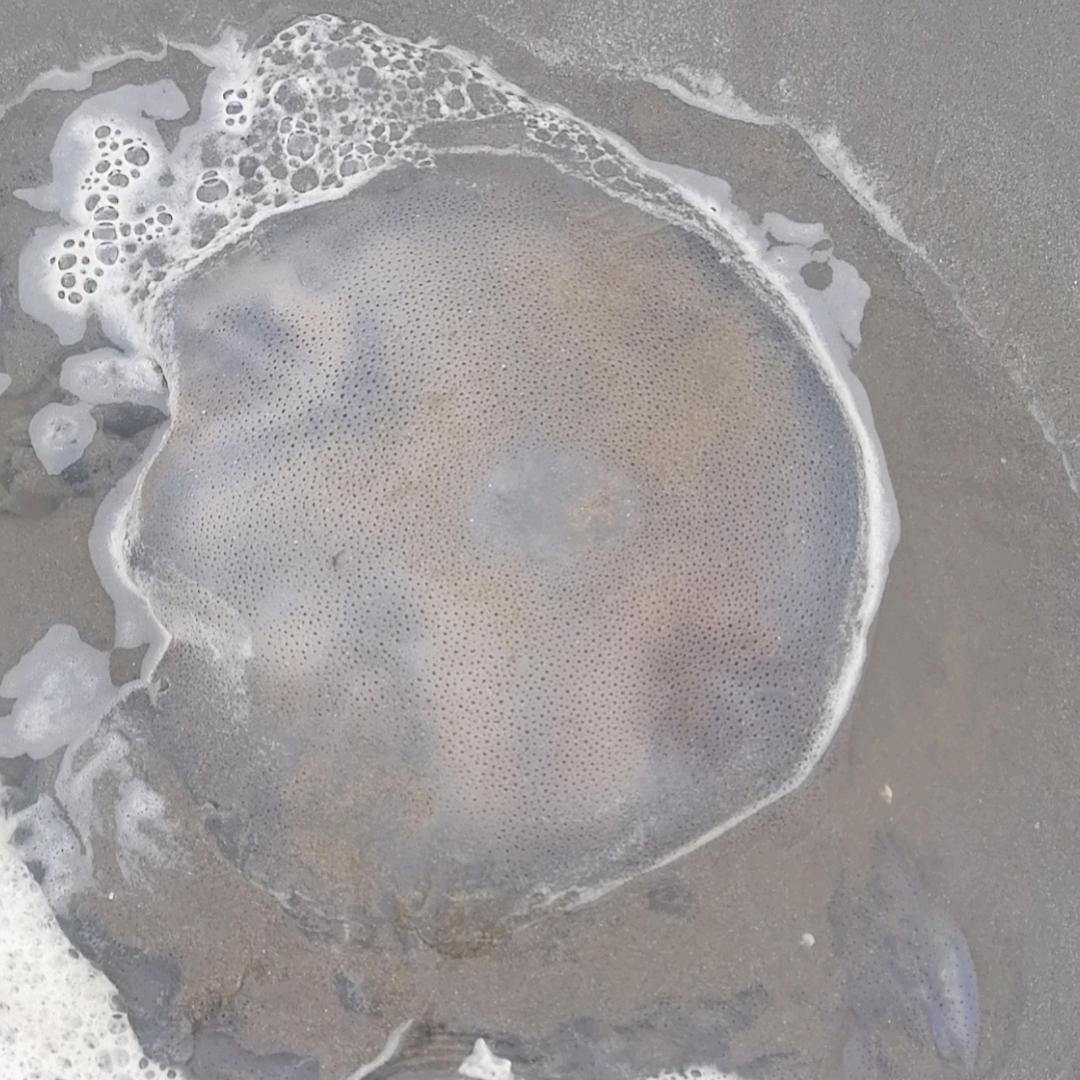 墩锅锅锅。