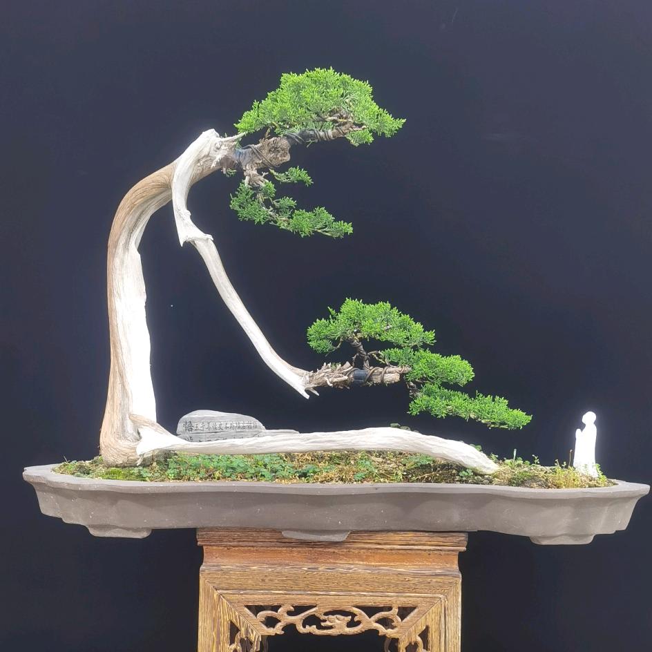 大雷盆景园