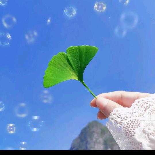 金艳~