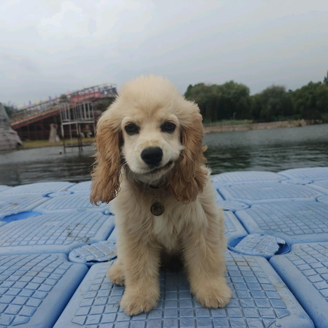 🌈金水湾路亚基地