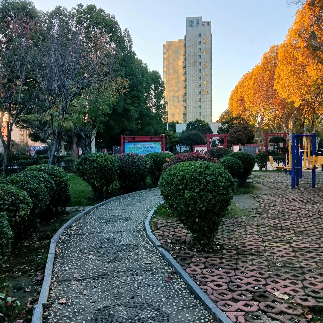 缘分天空