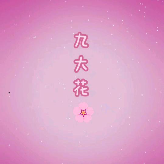 天中老表(九大花🌸)