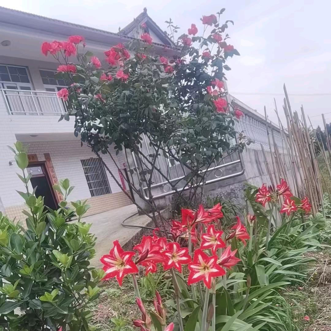 流浪