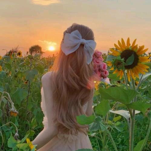 念夏星辰
