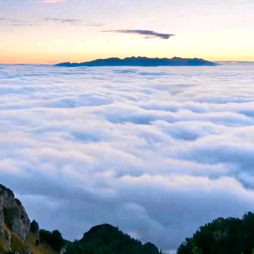 慢煮光阴一盏茶