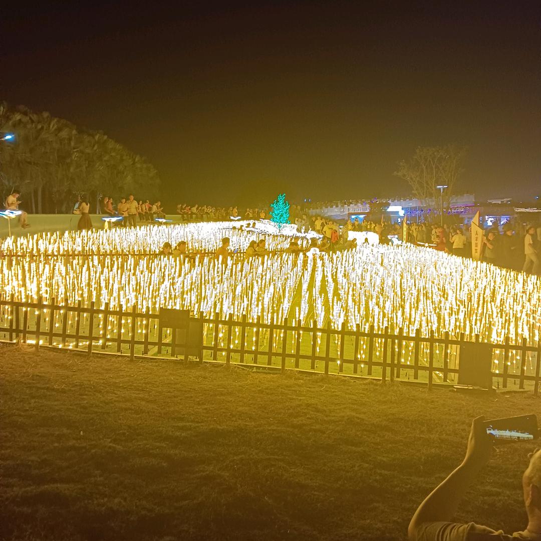 努力奋斗为美好的未来