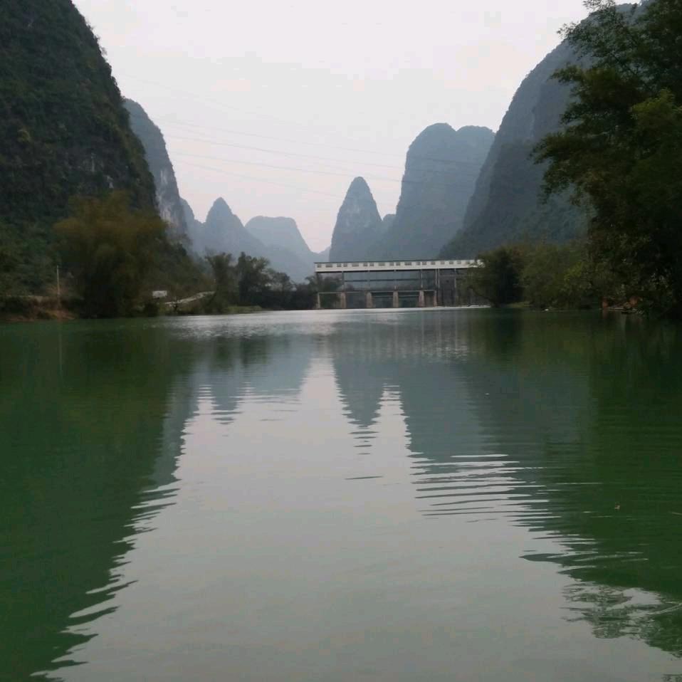 寻水的鱼🐠