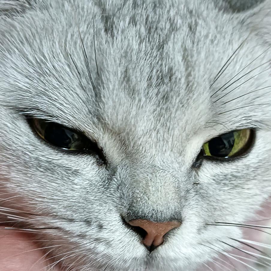 开心快乐₍˄·͈༝·͈˄*₎◞ ̑̑