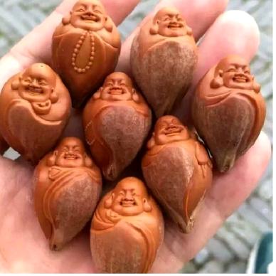 展翅飞翔