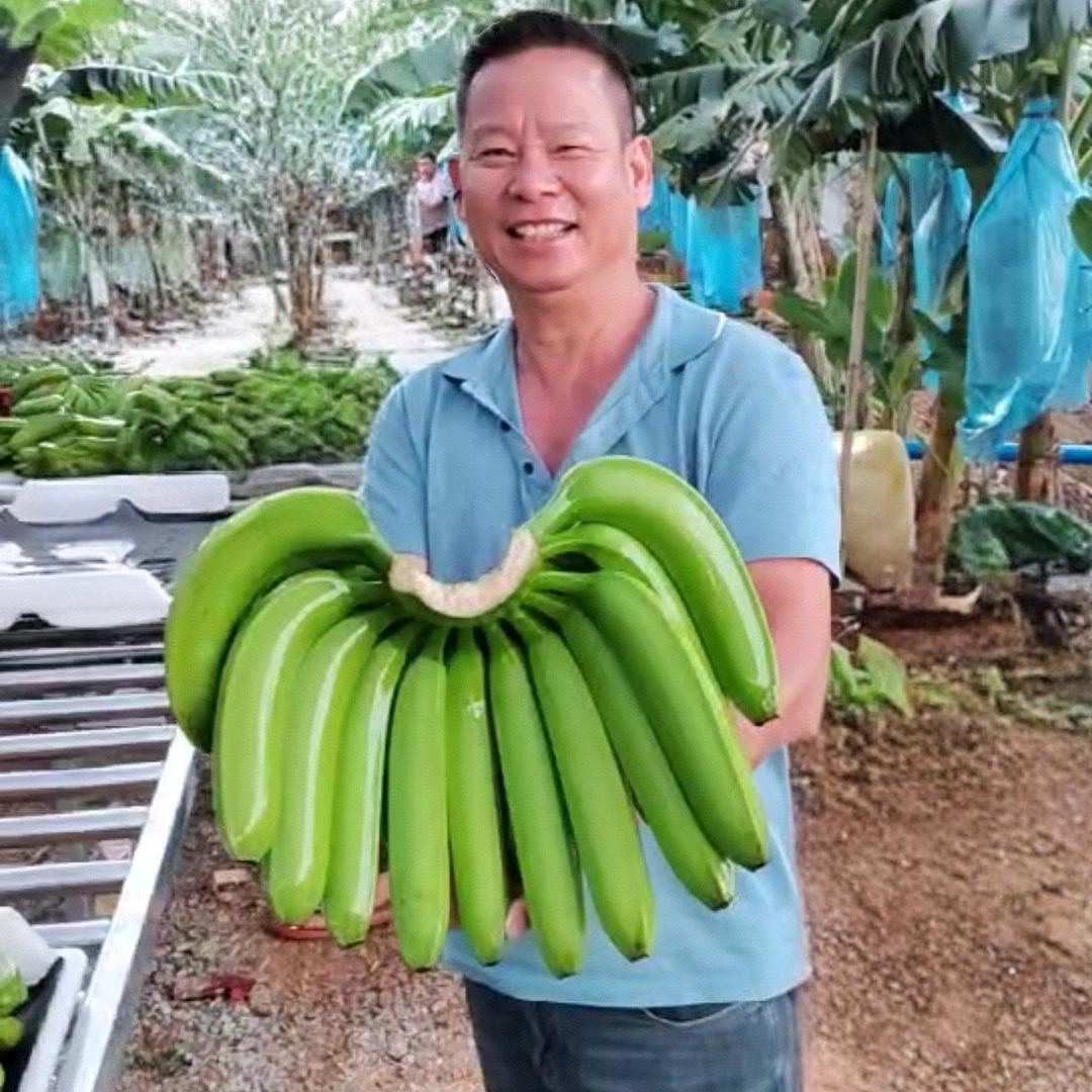 長兴果业香蕉代办