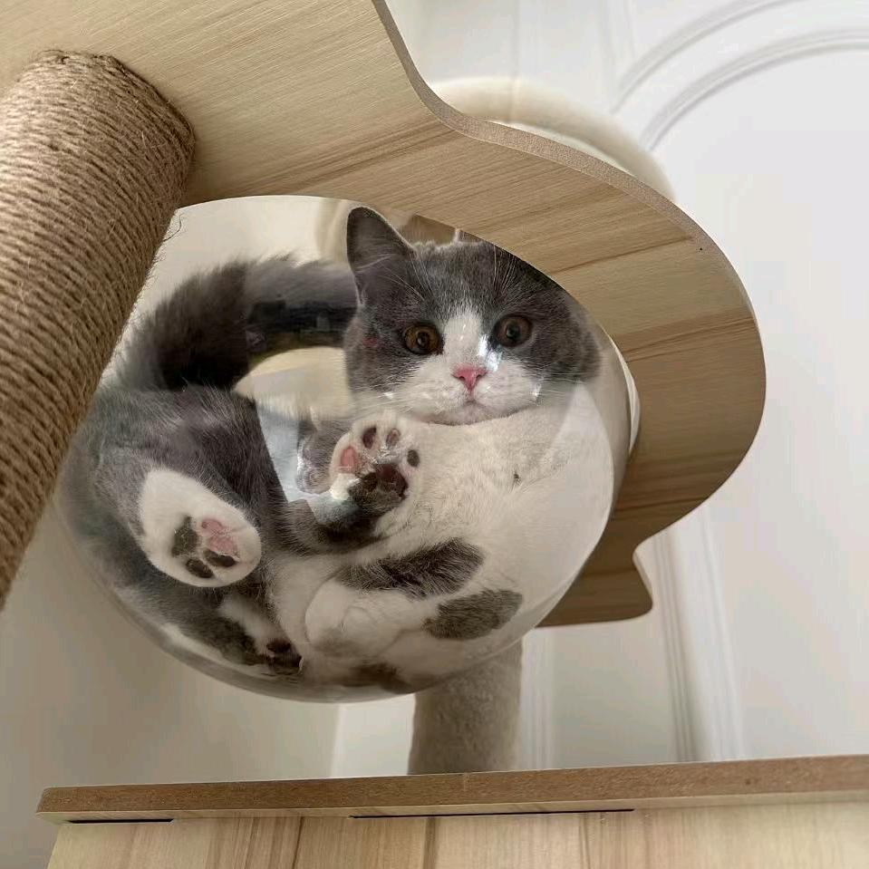 718