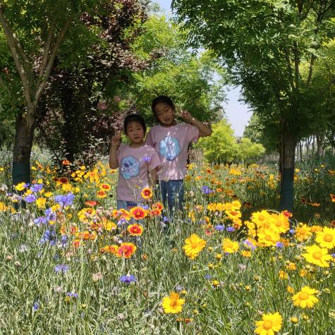 装㶂门市，施工