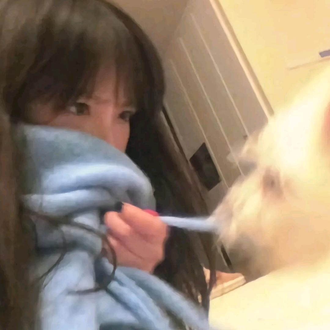 鼻噶拌香菜，香哭隔壁老太太