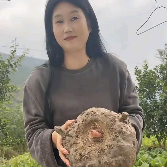 新农人啊梅