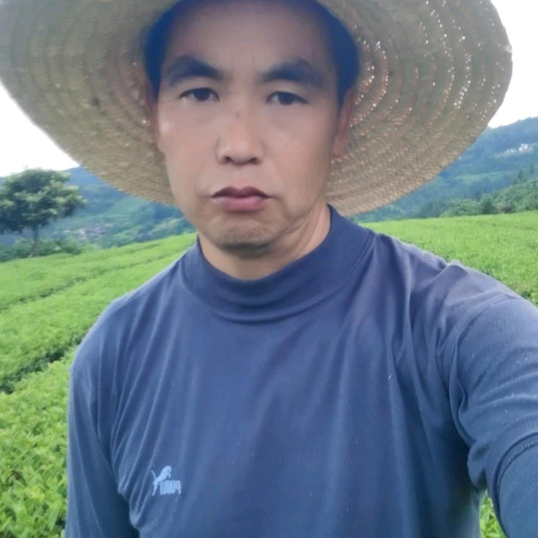 江口县鑫繁生态茶业有限公司
