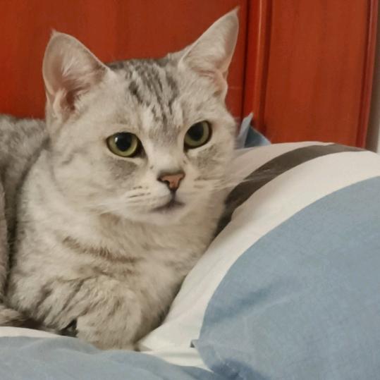 深圳电器卫浴维修