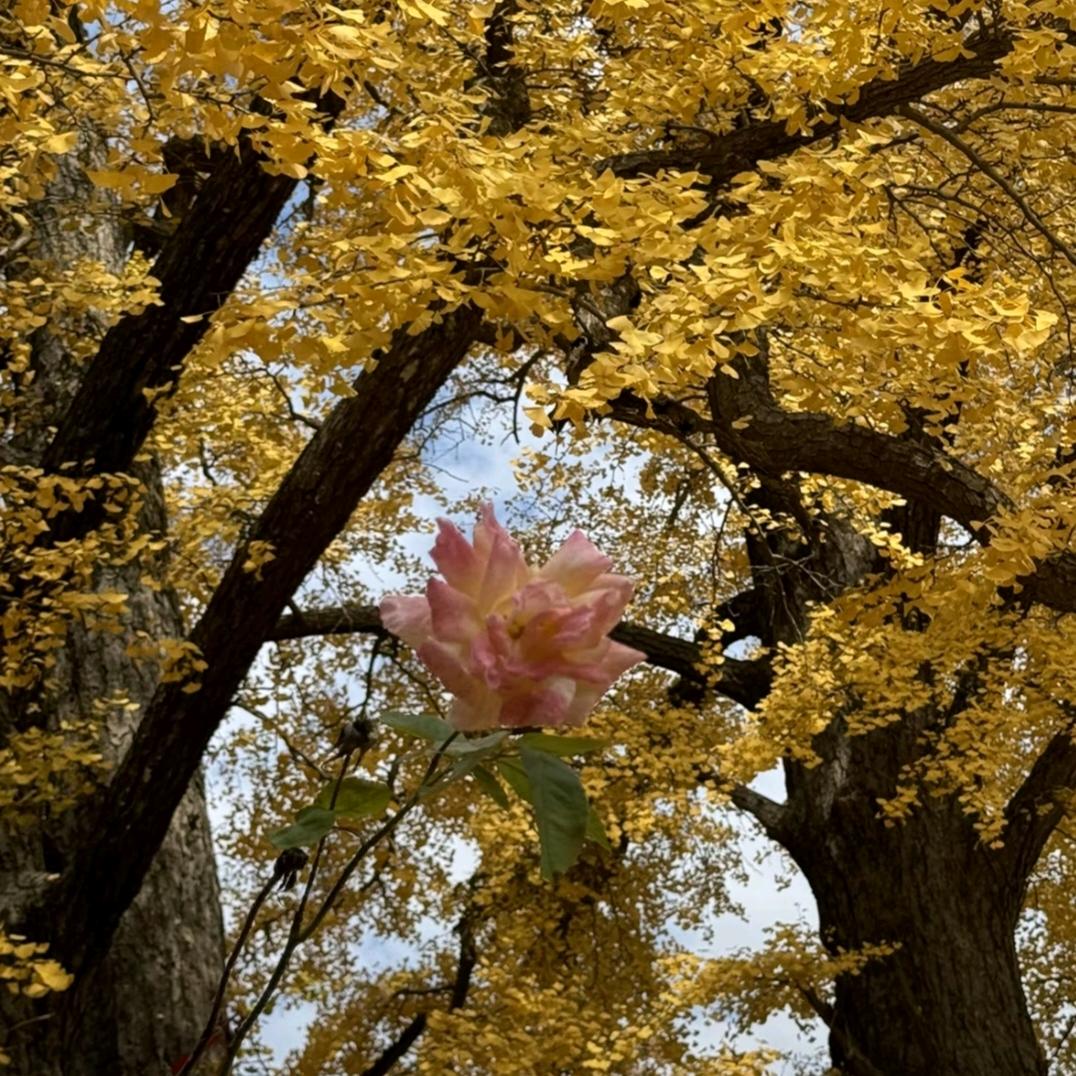 好消息老天爷开眼了