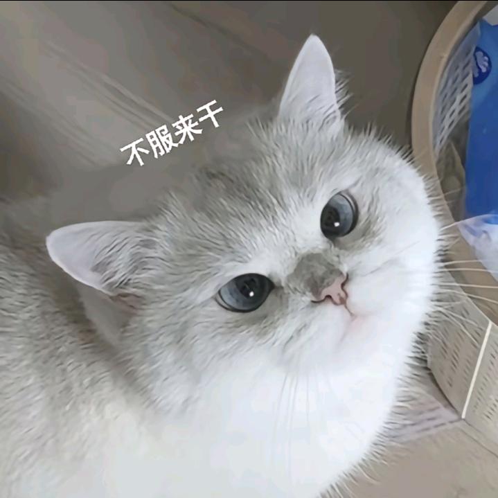 EN