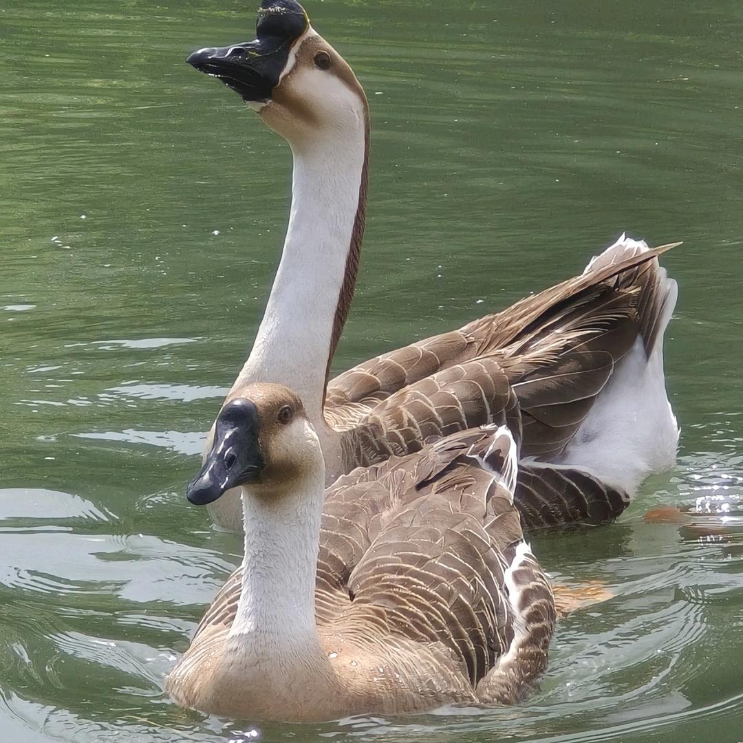 久艺整装--萍姐