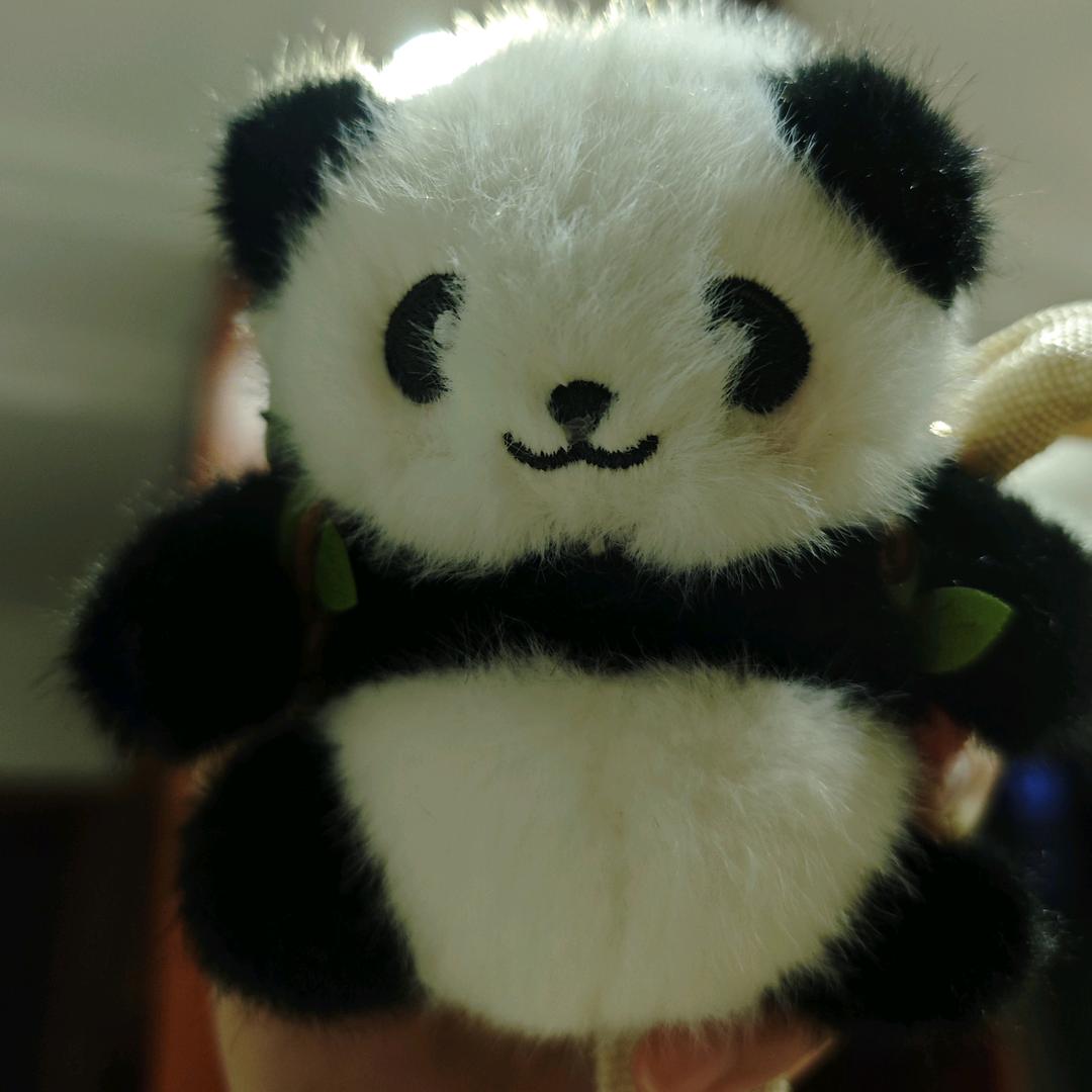 蘑菇熊猫🐼