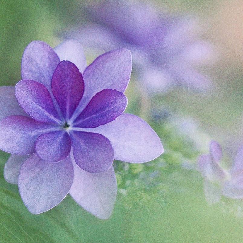 @随遇而安ღ