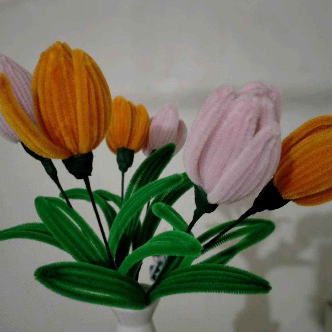 感恩所有的遇见