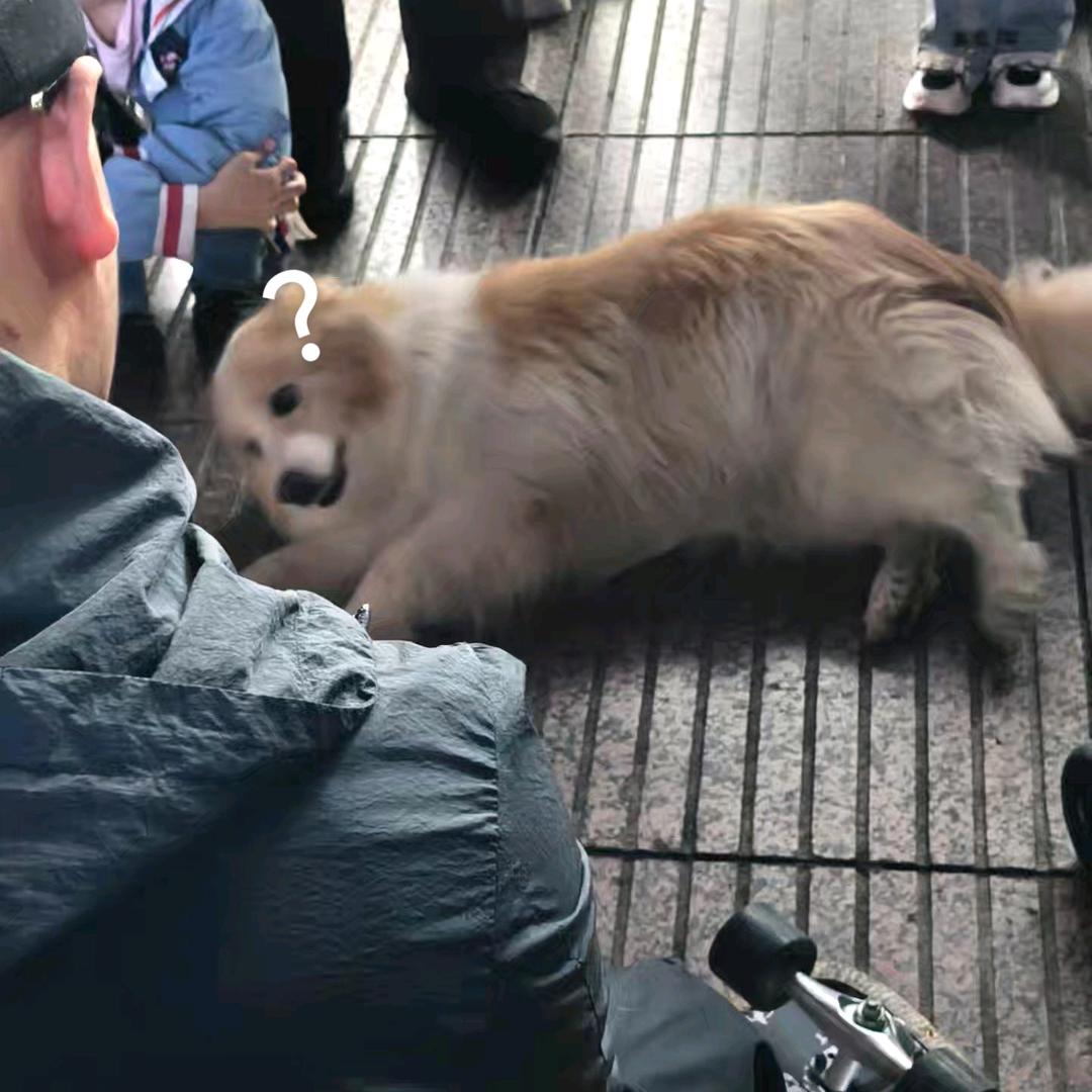 代喜少＆(在锦城)