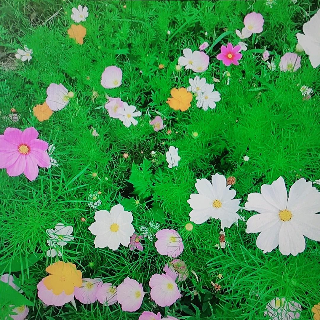 新城璩冰夏百货