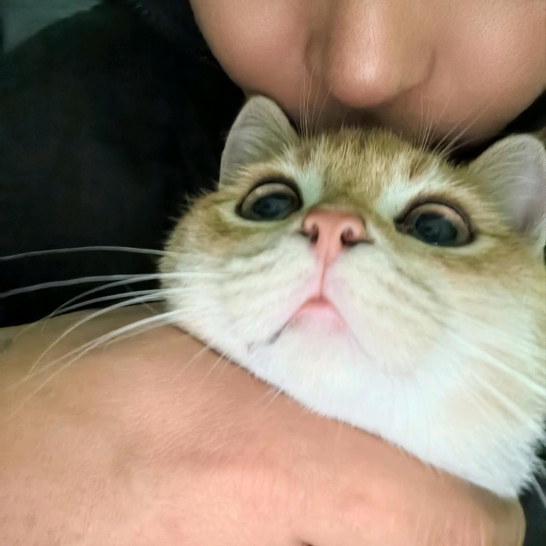 孤勇某大爷