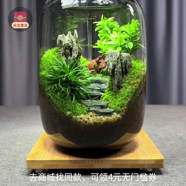 伸手触阳光