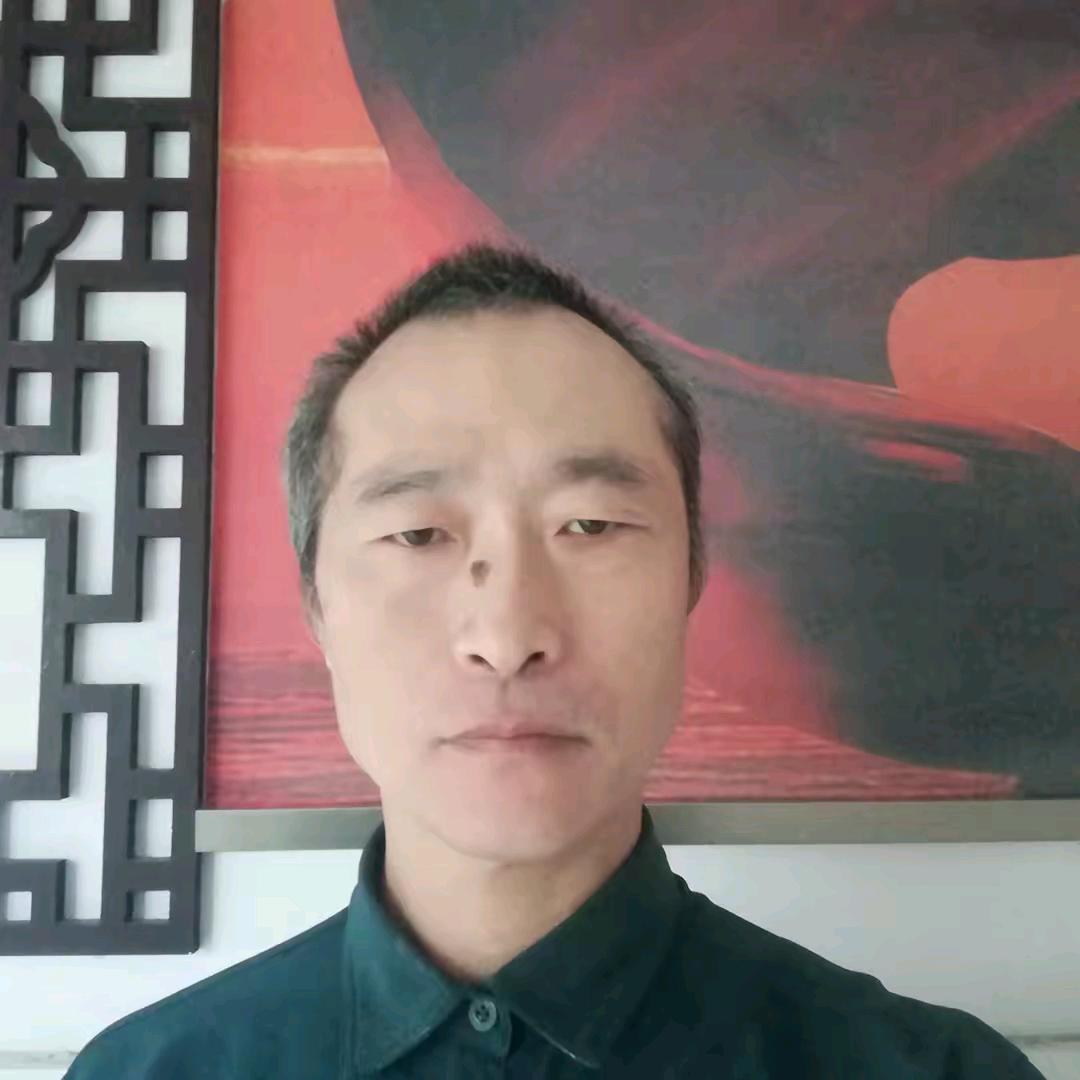 自由的港湾