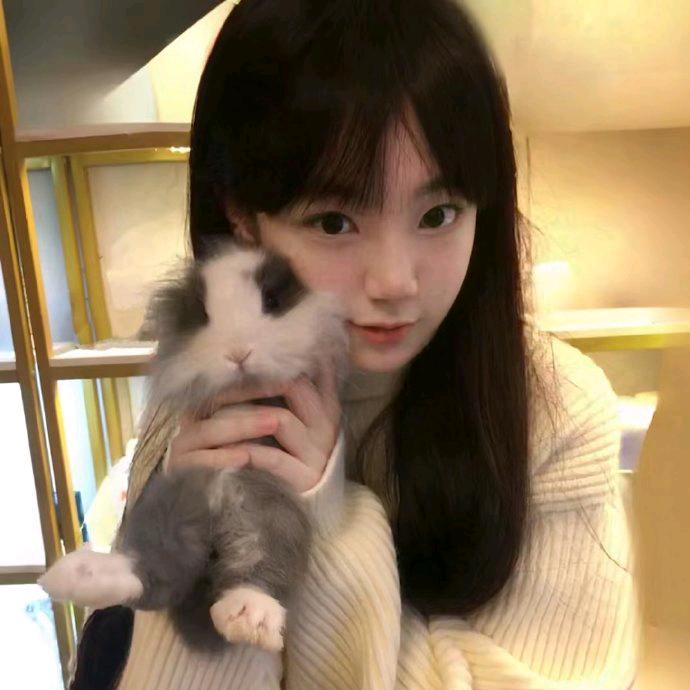 加菲猫🐱