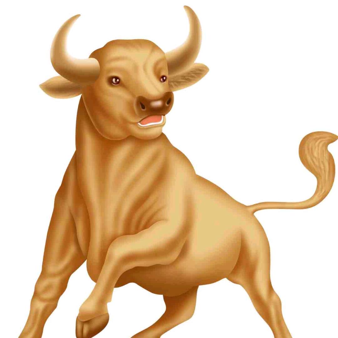 虞城亿和鲜牛肉