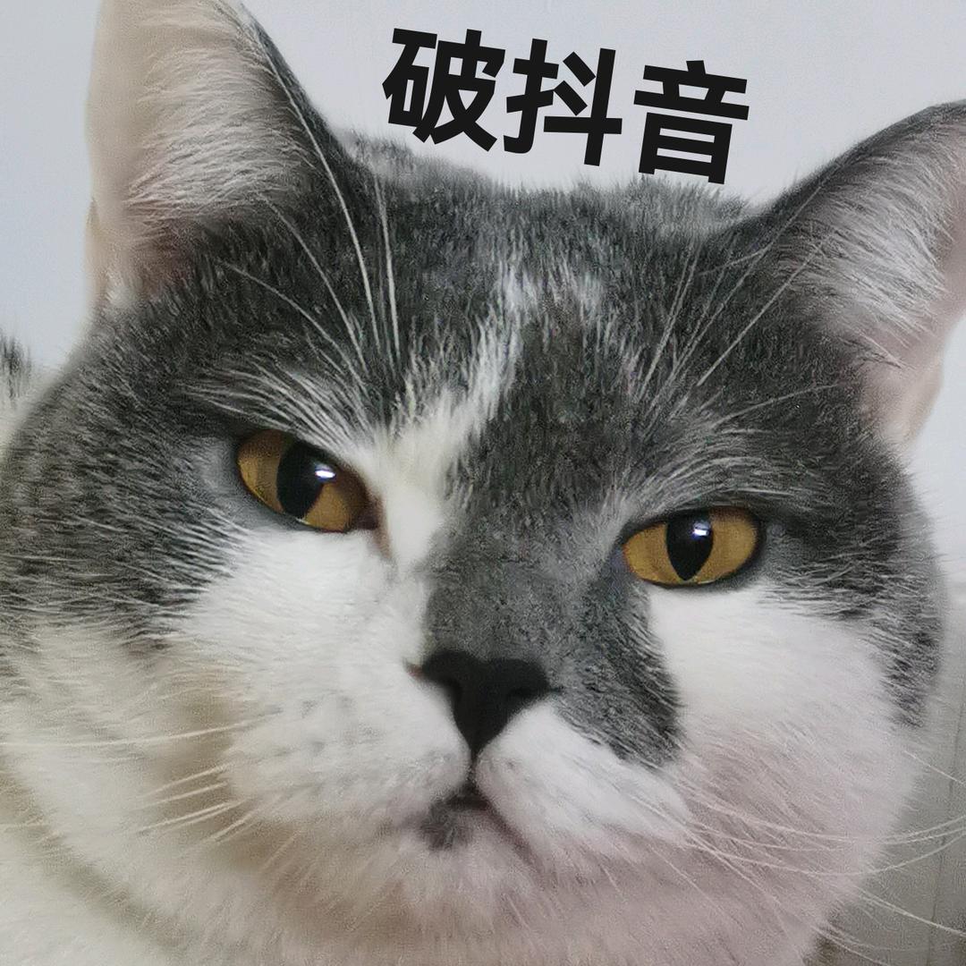 🚫没名字