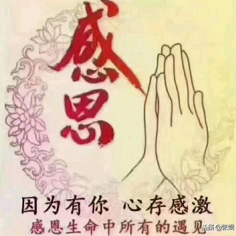快乐人生（人和11号）