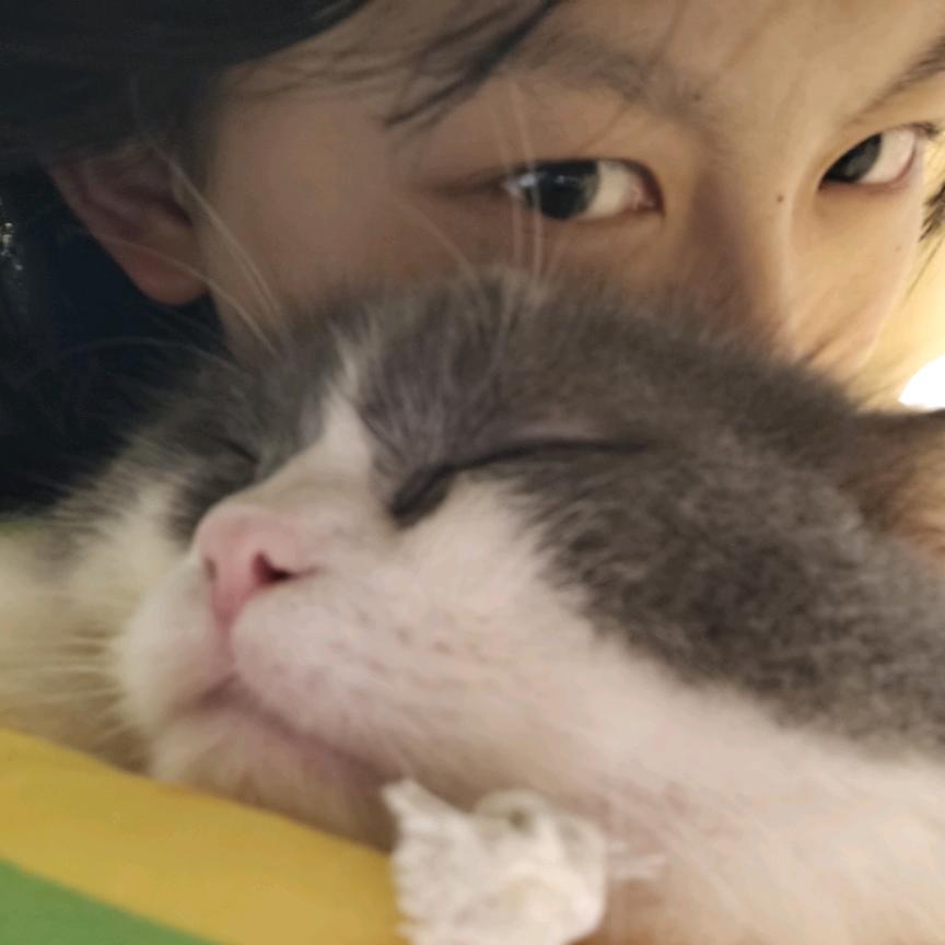 -小比大王（来财版