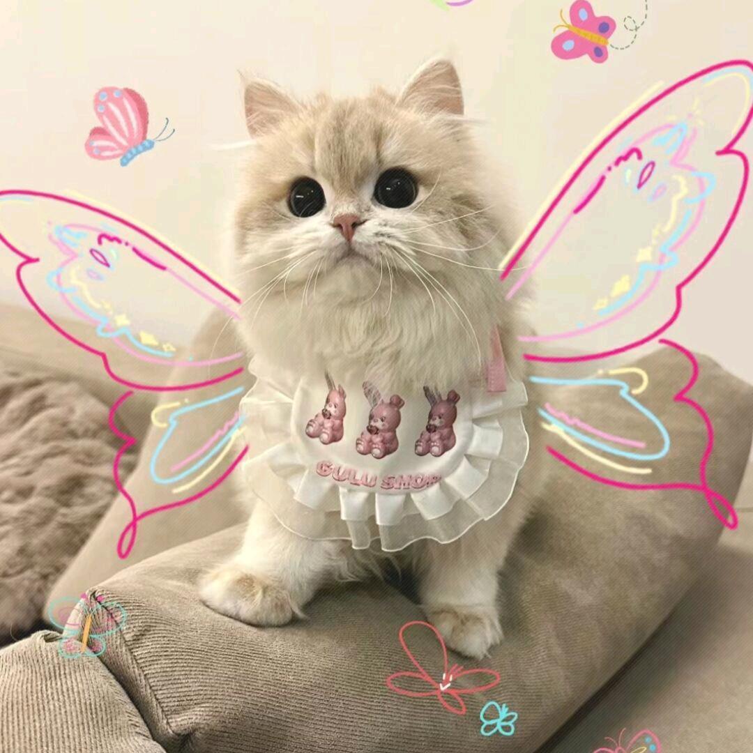 小葉🌧