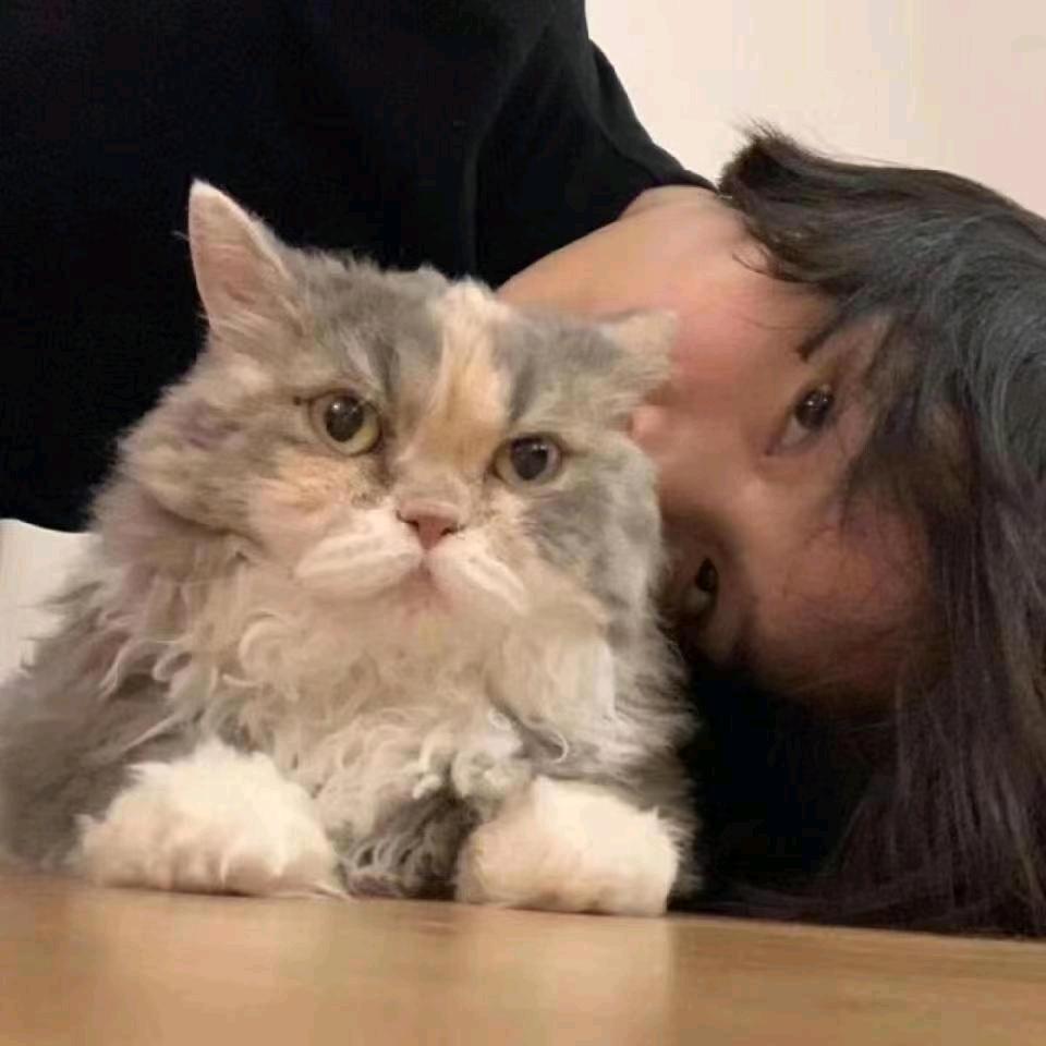 小热热热⁴²⁶